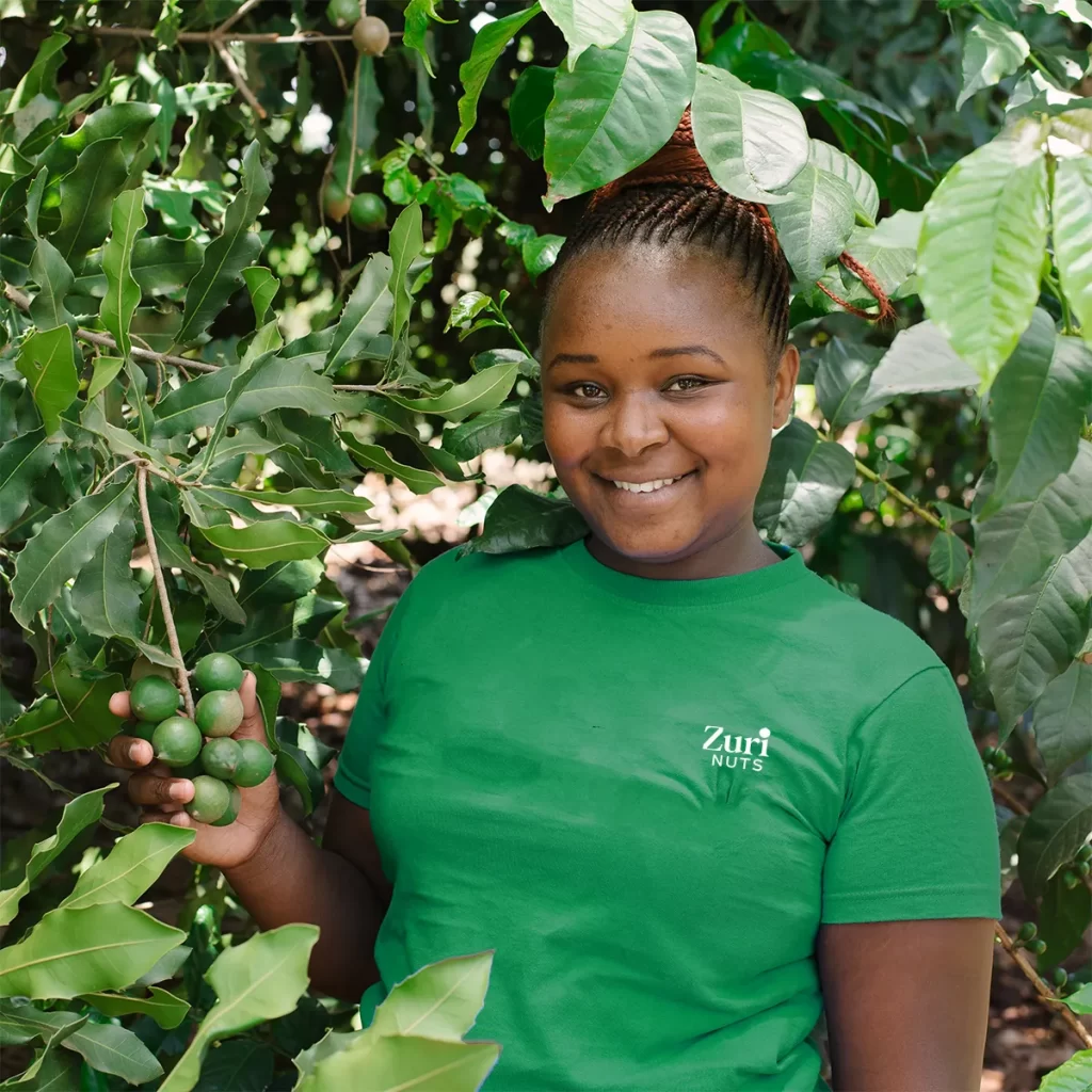 zuri nuts kenya lady in a macadamia nut orchid Kenya