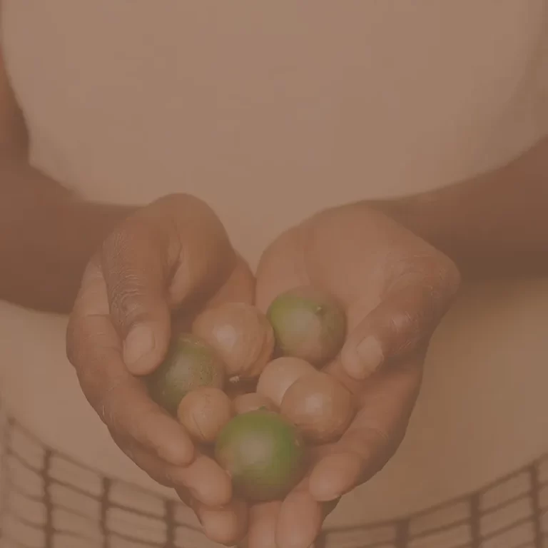 zurinuts organic macadamia Kenya